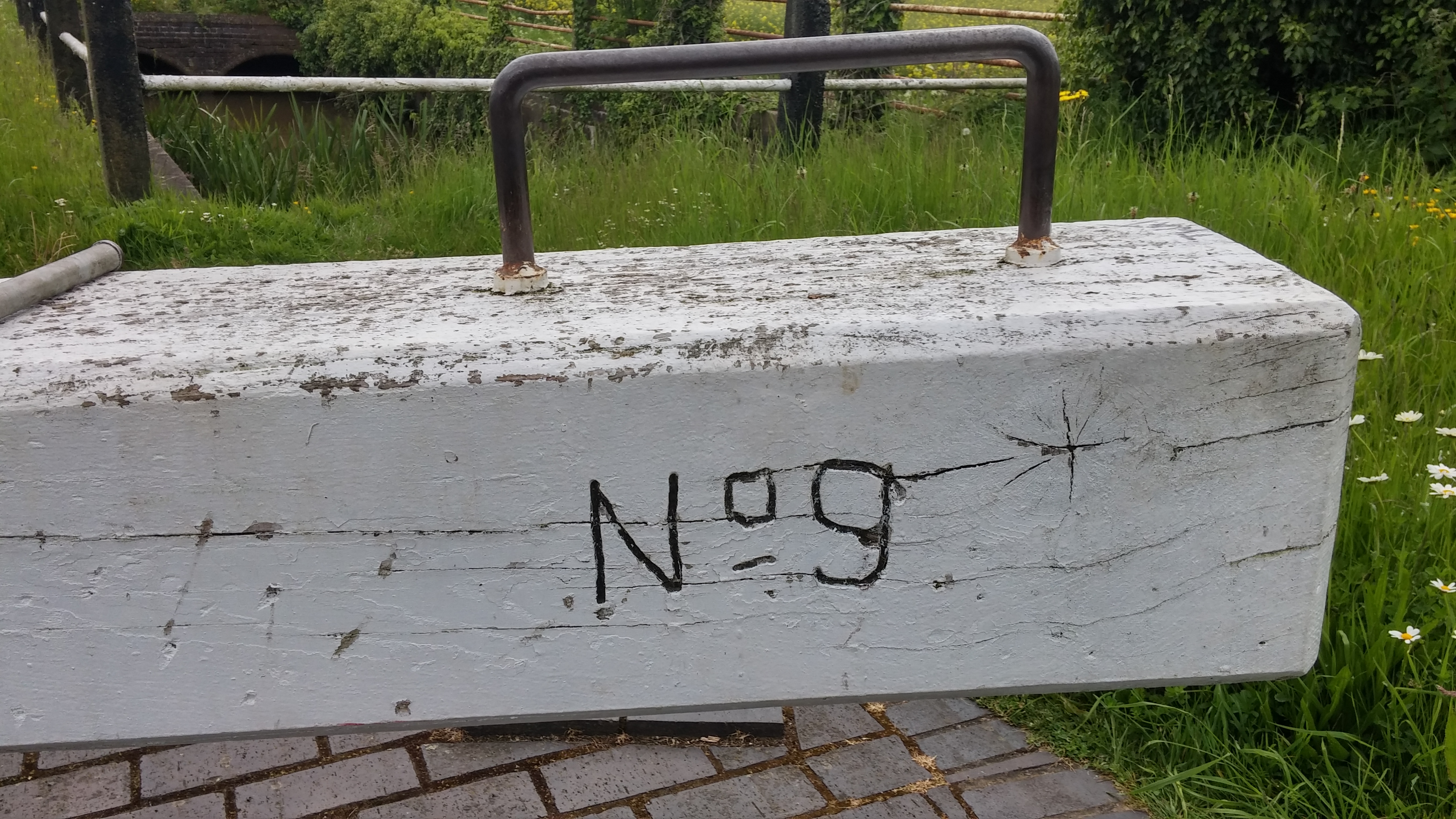 20160529_133234_HDR