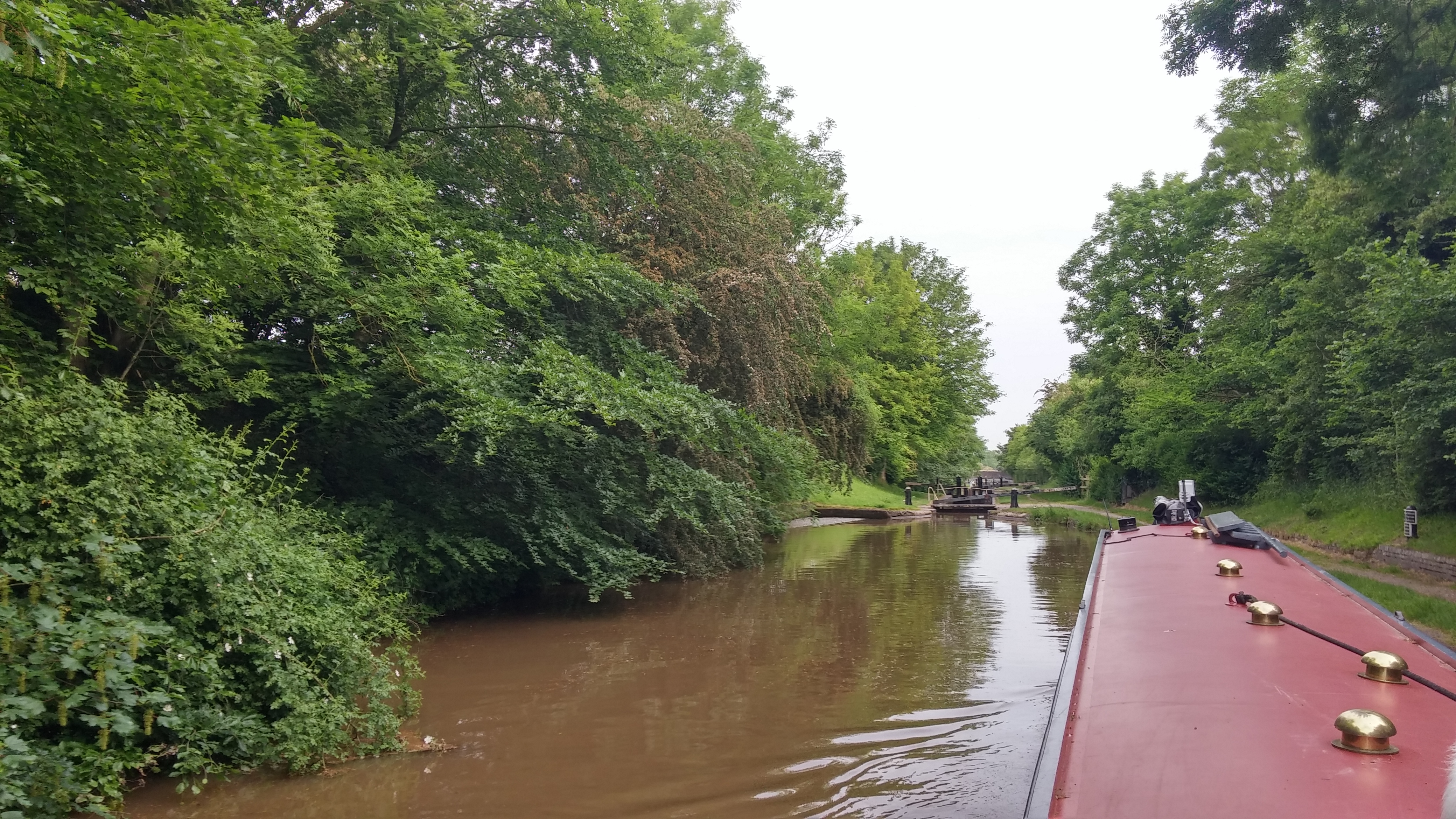 20160607_081603_HDR