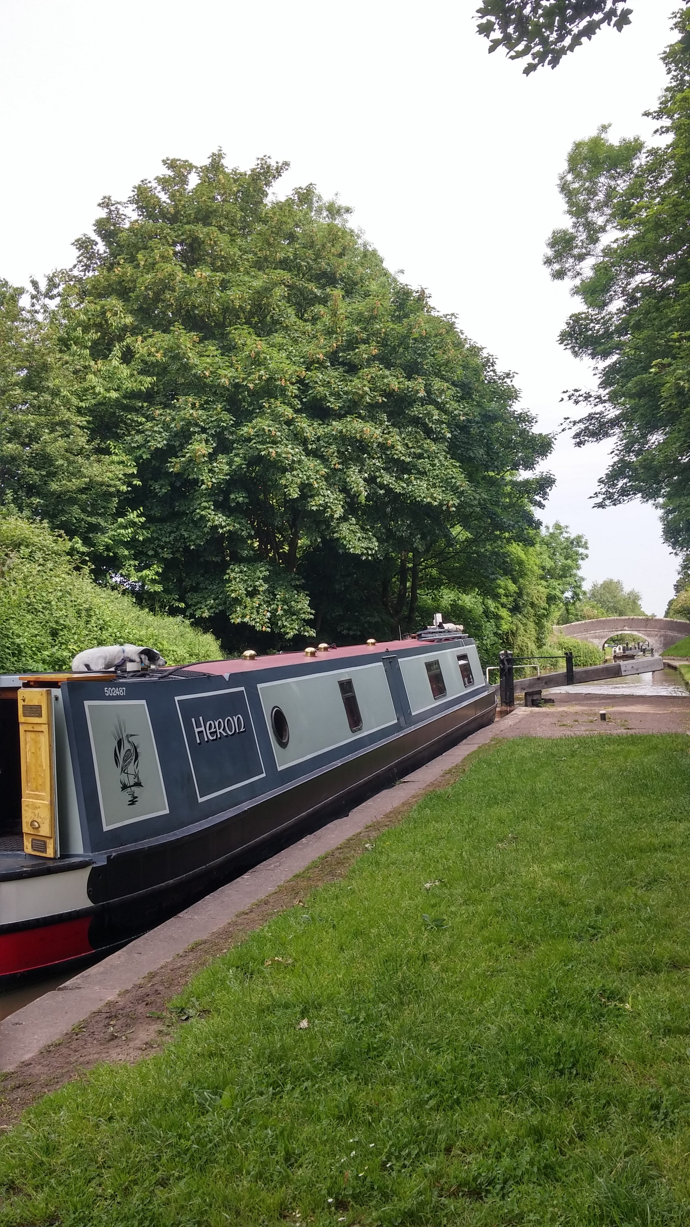 20160607_103938_HDR-e1465324071660