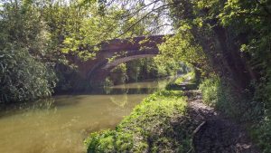 Elegant Bridge