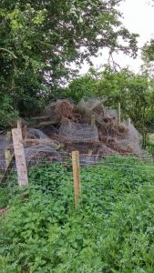 Blocked Path