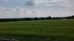 Sorry - not that field