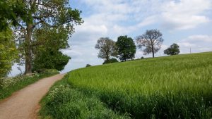 Bosworth Battlefield Trail - no - not that field either