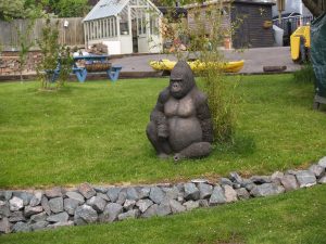 Wot Gorilla?