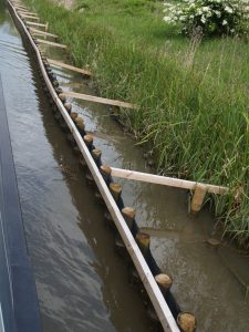 Protecting the banks