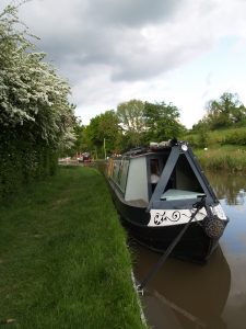 Terminus Mooring