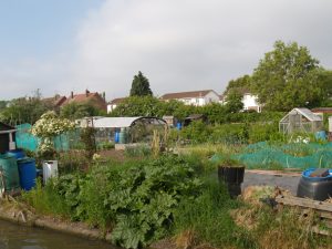 It's all allotments