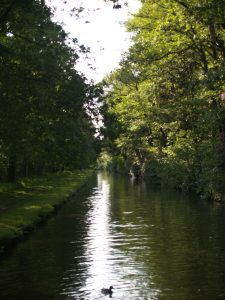 Fond farewell to Ravenshaw Wood