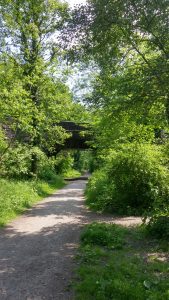 Canal Aqueduct over Biddulph Valley Way