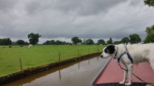 Sam doesn't like the look of those clouds