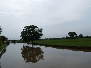 Still Waters