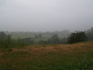 Misty morning