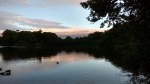 Sunset over Blake Mere