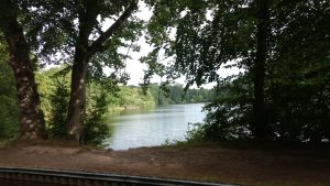 Blake Mere