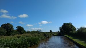 Blue skies